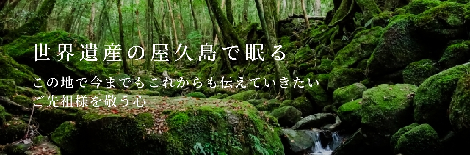 世界遺産の屋久島で眠る